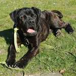 Ersteller:in Melli Profilbild