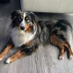 Ersteller:in Mo Profilbild