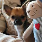 Ersteller:in Nicole Profilbild