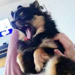 Ersteller:in Vanessa Profilbild