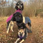 Ersteller:in Laura Profilbild