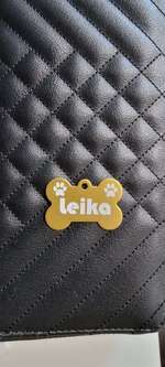 Hundemarken selbst gestalten-Beitrag-Bild