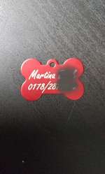 Hundemarken selbst gestalten-Beitrag-Bild