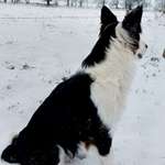 Ersteller:in Daniela Profilbild