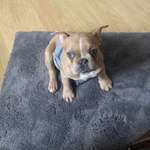 Ersteller:in Bonnie Profilbild