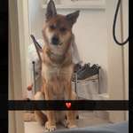 Ersteller:in Vanessa Profilbild