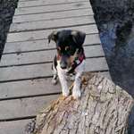 Ersteller:in Tanja Profilbild