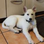 Ersteller:in Patrick Profilbild