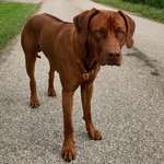 Ersteller:in Nina Profilbild