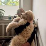 Ersteller:in ana alexandra Profilbild