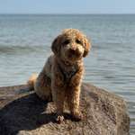 Ersteller:in Isabella Profilbild