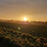 Ersteller:in Katharina Profilbild