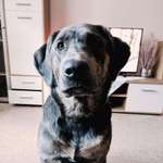 Ersteller:in Judy Profilbild