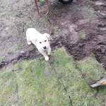 Ersteller:in Nicole Profilbild