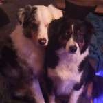 Ersteller:in Jessica Profilbild