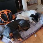 Ersteller:in Michaela Profilbild