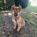 Ersteller:in Jessica Profilbild