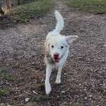 Ersteller:in Julia Profilbild