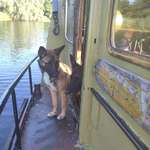 Ersteller:in Jessica Profilbild