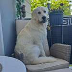 Ersteller:in Denny Profilbild