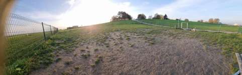 Hundeauslaufgebiet-Dangast, eingezäunte Hundewiese-Bild