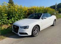 Hund im Cabrio mitnehmen-Beitrag-Bild