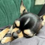 Ersteller:in Coco Profilbild