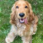 Ersteller:in Charleen Profilbild