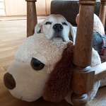 Ersteller:in Martina Profilbild