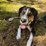 Ersteller:in Jasmin Profilbild