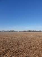 Hundeauslaufgebiet-Mahlow-Bild