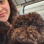 Ersteller:in Sarwa Profilbild