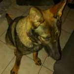 Ersteller:in Kerstin Profilbild