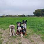 Ersteller:in Elisa Profilbild