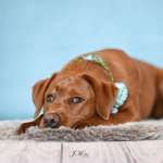 Ersteller:in Jasmin Profilbild