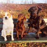 Ersteller:in Ramona Profilbild