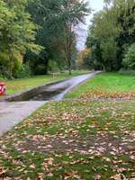 Hundeauslaufgebiet-Hennigsweg-Bild