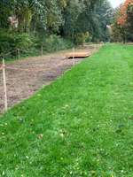 Hundeauslaufgebiet-Hennigsweg-Bild