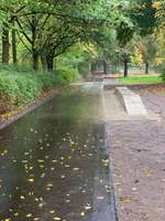 Hundeauslaufgebiet-Hennigsweg-Bild