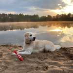 Ersteller:in Rebecca Profilbild