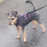 Ersteller:in Nadine Profilbild