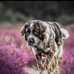 Ersteller:in Helena Profilbild