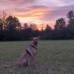 Ersteller:in Wiebke Profilbild