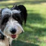 Ersteller:in Anke Profilbild