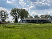 Hundeauslaufgebiet-Ehemaliger Rennplatz-Bild