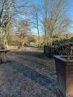 Hundeauslaufgebiet-Gaarden-Bild