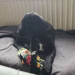 Ersteller:in christoph Profilbild