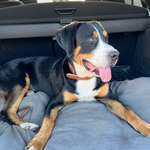 Ersteller:in Julia Profilbild