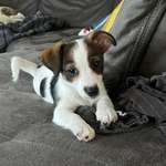 Ersteller:in Sabrina Profilbild