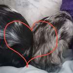 Ersteller:in Diana Profilbild